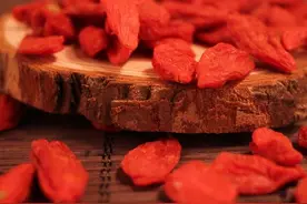 一年四季吃枸杞 人可与天地其寿图片