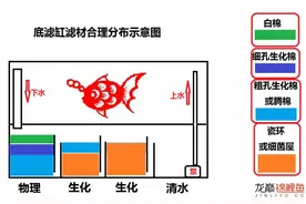 鱼缸、小型鱼池过滤方式及特点图片