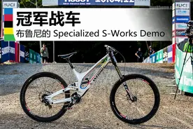 布鲁尼青春无敌版！---Specialized S-Works Demo图片