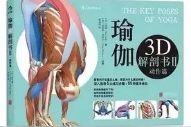 瑜伽3D解剖（6）---动作的关键在于交互抑制原理图片