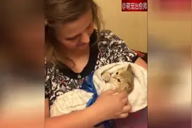 主人把小猫包裹成婴儿一样，抱在怀里哄睡觉，太萌了！