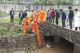 感动！台州再现“忠犬八公” 救回醉酒跳河主人图片