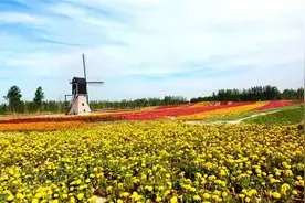 江苏这些小众婚纱照拍摄地 分分钟出大片的节奏！图片