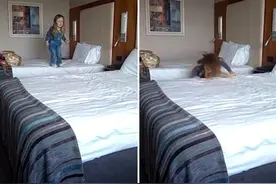 实拍爱尔兰3岁萌娃宾馆玩跳床失足摔落图片