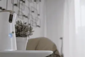 狗狗生命中一半的时间都在等你回家，愿它被温柔相待图片