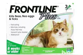 猫驱虫药种类有哪些？图片