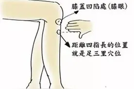 养"胃"之道图片