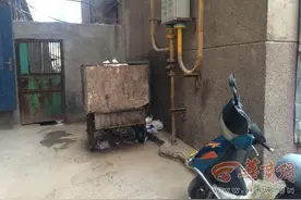 渭南一家属院每天都清运垃圾 小区卫生环境还是脏乱差图片