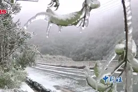 受寒潮影响 贵州梵净山景区结冰厚度达3厘米视频封面