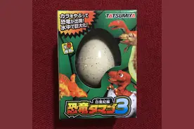 布丁的新玩具：可孵化恐龙蛋，教孩子认识恐龙，了解动物孵化过程图片