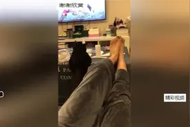 猫舔过的东西，人还能吃嘛？视频封面