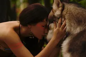 排箫大师Leo Rojas《Wolf's Heart》狼之心图片
