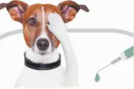 养犬条例今日表决：每户限养一只 要交管理费图片