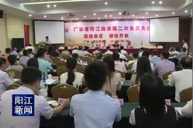 广东阳江商会二届理事会就职图片