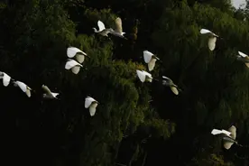 “世界长寿之乡”名不虚传！溧阳百岁老人已有132名图片