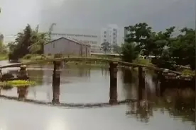 温州一清代古桥几秒内被挖掘机拆毁，涉事单位将受罚15万元图片