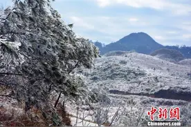 广西金秀大瑶山入冬首场雾凇美景如仙境图片