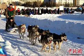 哈萨克斯坦首都民众“戏雪”庆新年图片