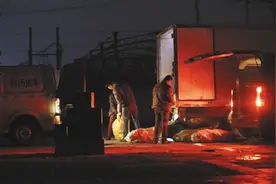 驴肉火烧之乡用猪肉马肉充当驴肉 大量运往北京图片