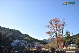 字里行间中，你读懂了军校生的诗情画意吗图片