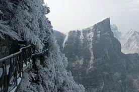 “峰林雪墙”！张家界天门山国家森林公园雪后现壮美景观视频封面