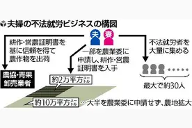 涉华夫妇在日本涉及“三黑”赚钱被逮捕图片