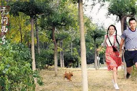 王菲为电影《无问西东》演唱同名推广曲图片