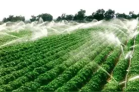 「新闻」哈市农业用水将逐步推行分档水价丨探索实行分类水价图片