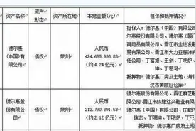 欠债6.36亿元 德尔惠运营主体变更目前停业图片