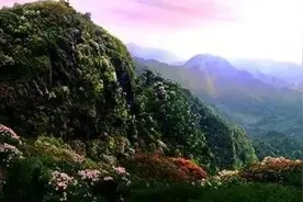 关注丨永安有个我国少有的一个物种基因库！美不胜收！图片