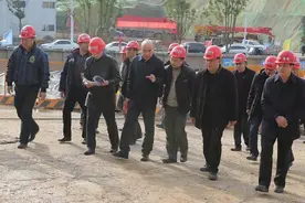 省环保厅调研组来大龙调研图片