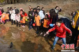 长沙孩童放生鱼苗 湘绣“年年有余”迎新年图片