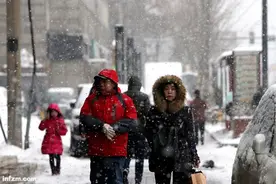 市委书记的三个感叹号 西安雪灾大考图片