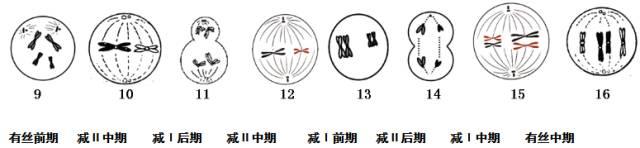 期末复习｜高中生物必修1-必修3知识点详解，不看你就亏了！
