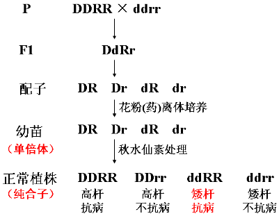期末复习｜高中生物必修1-必修3知识点详解，不看你就亏了！