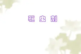 小儿右腹阵发性疼痛，警惕蛔厥证图片