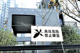 小区围墙架“电网” 市民担心有危险图片