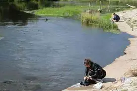 河边喂鱼，鱼直接爬到岸上来吃，这鱼成精了吗？图片