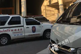 重庆领队被大象踩踏致死事件最新进展：遗体已运往曼谷 家属不接受泰方赔偿方案图片