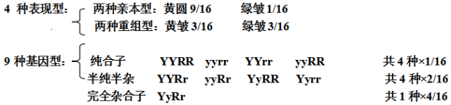 期末复习｜高中生物必修1-必修3知识点详解，不看你就亏了！