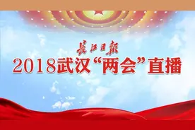 武汉机动车已达275万辆,今年要力争开建两湖隧道图片