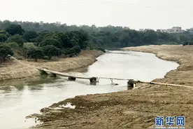 广东茂名湛江协同推进小东江水污染治理图片