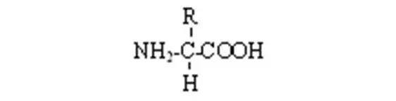 期末复习｜高中生物必修1-必修3知识点详解，不看你就亏了！