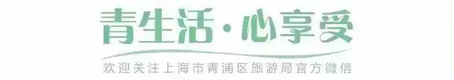 上海东方绿舟攻略(上海东方绿舟门票多少钱)