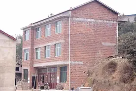 “80后”好媳妇林细英的故事图片