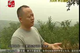 突尼斯软籽石榴，在栽培时有什么要注意的吗？视频封面