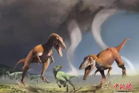 俄生物学家发现恐龙新物种 命名为西伯利亚巨龙图片