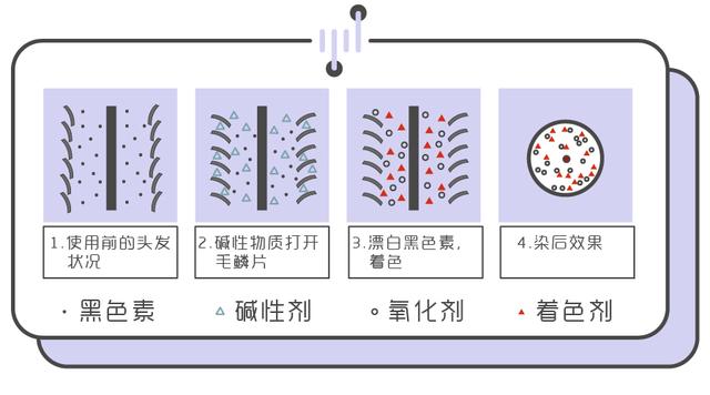 染头发这么简单的事情，不用找 Tony 老师了，自己就能搞定！