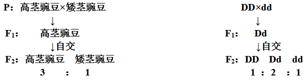 期末复习｜高中生物必修1-必修3知识点详解，不看你就亏了！