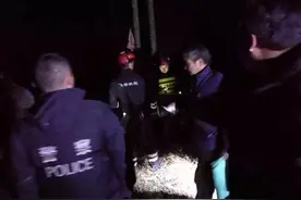 还记得《一条狗的使命》那只救人的警犬吗？现实中那一幕正在上演……图片